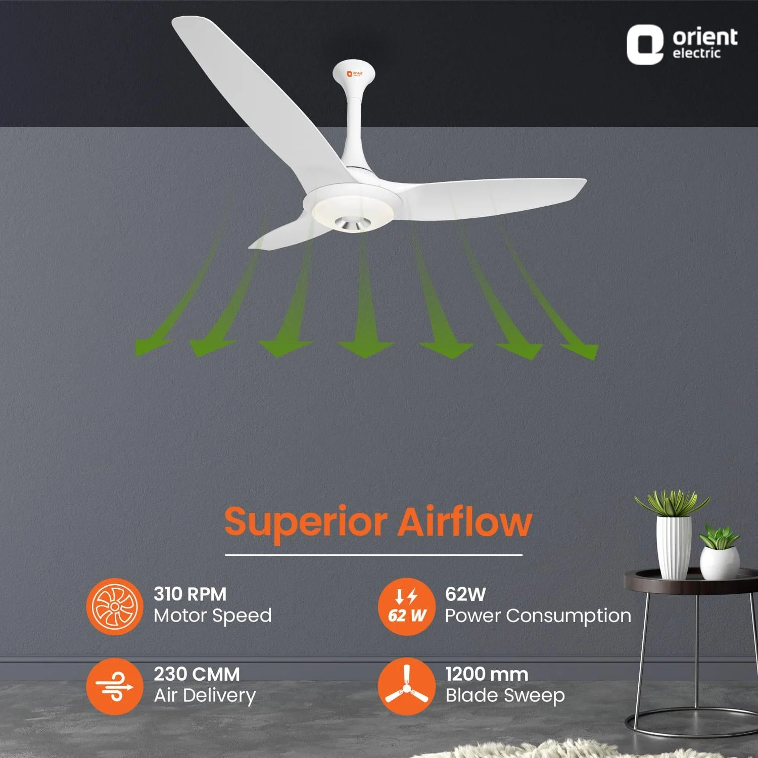 Aerolite Premium Ceiling Fan - Image 3