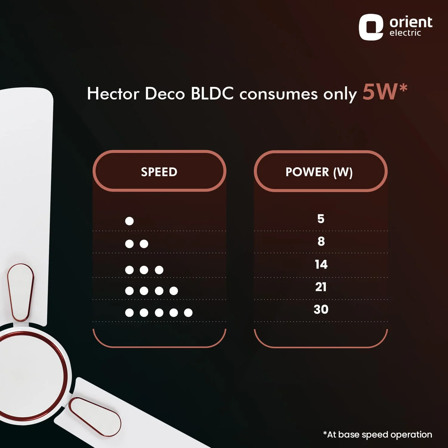 Hector Deco BLDC Ceiling Fan with Remote - Image 28