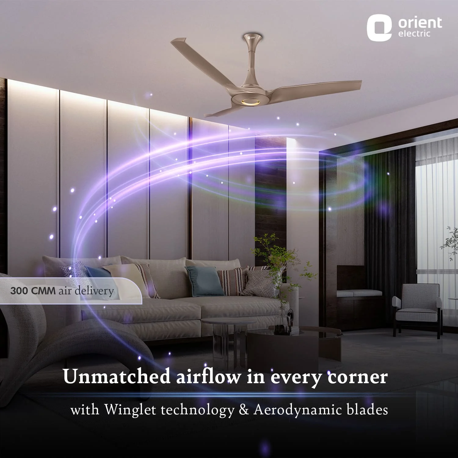 Aerostorm Premium Ceiling Fan | 2-year Warranty - Image 20
