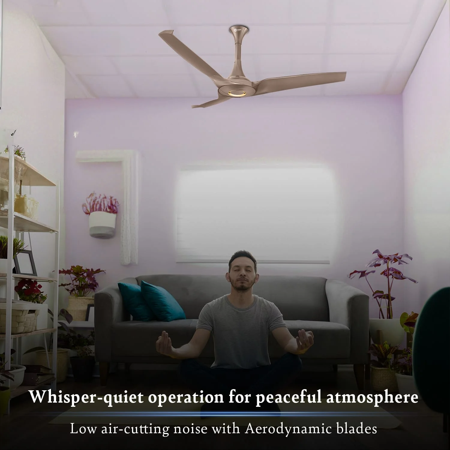 Aerostorm Premium Ceiling Fan | 2-year Warranty - Image 21
