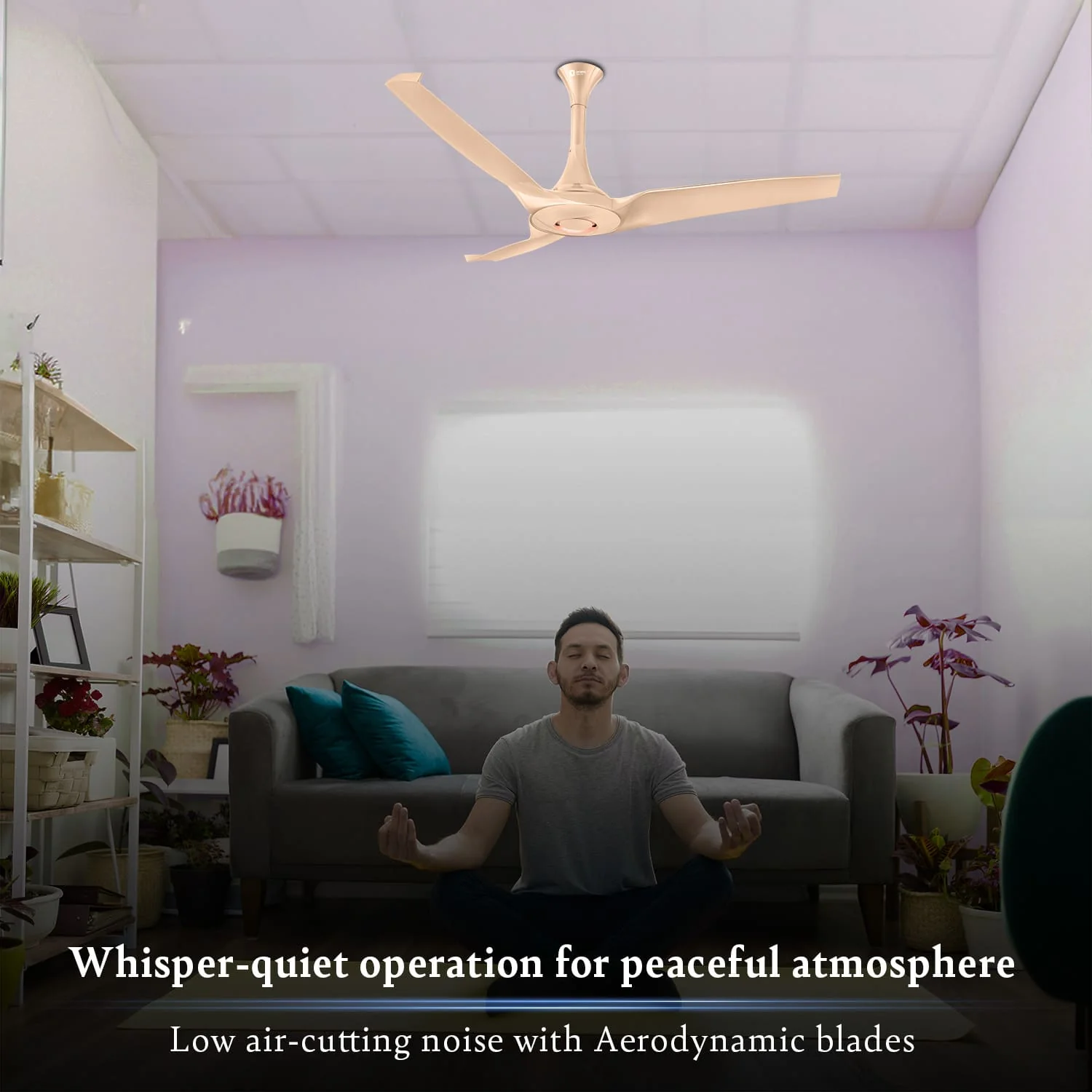 Aerostorm Premium Ceiling Fan | 2-year Warranty - Image 8