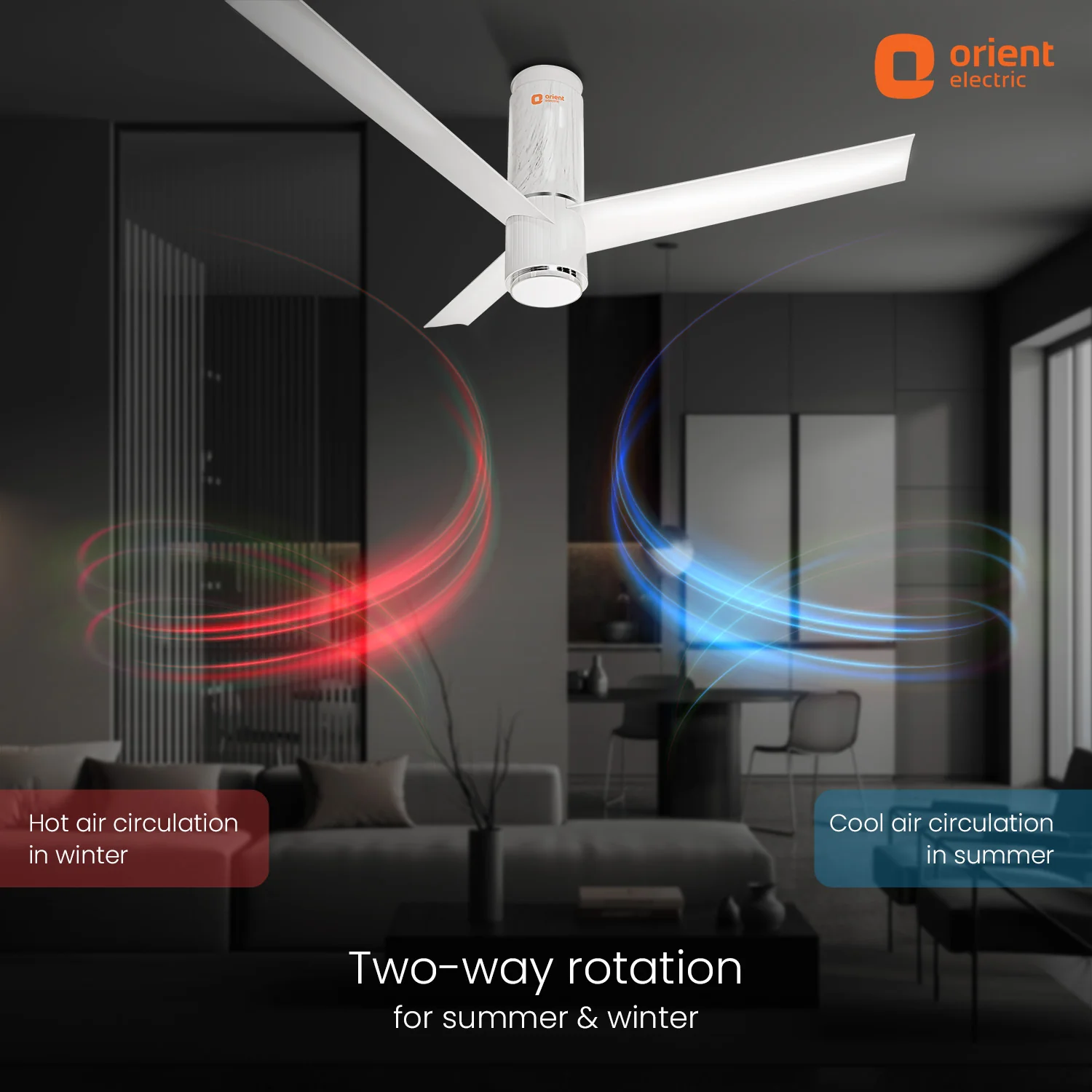 Aeroslim IoT Remote Fan with Light | 5-Year Warranty - Image 20