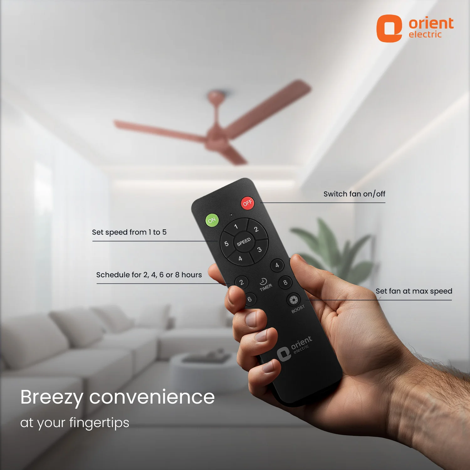 Ecotech Neu BLDC 5 Star Ceiling Fan | 3-Year Warranty - Image 10
