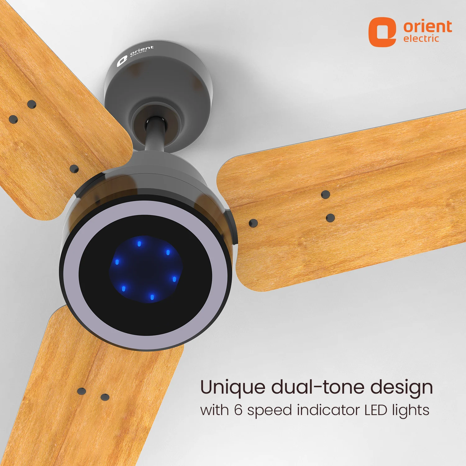 Ecotech Prime CX 5 Star BLDC Ceiling Fan with LED Indicator Light - Image 18