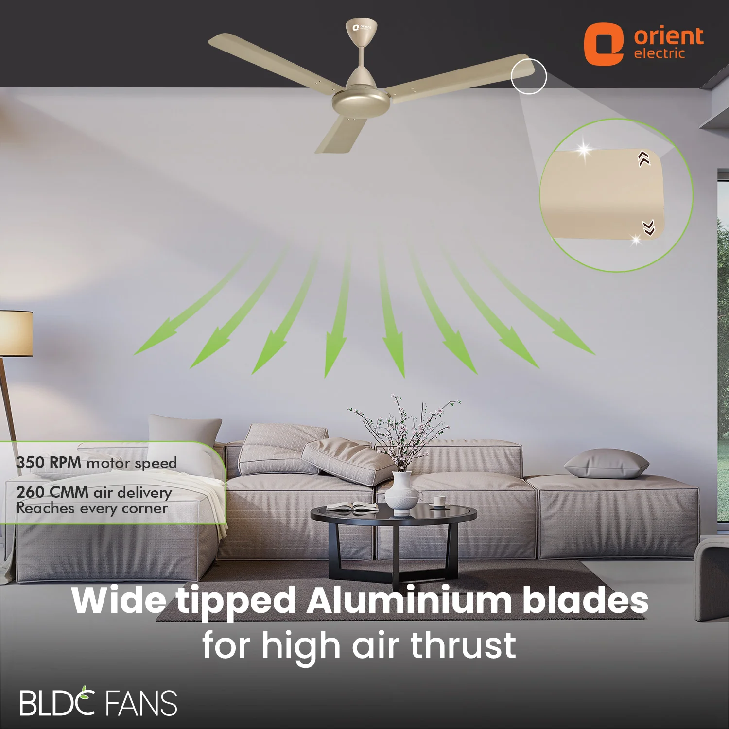 Hector 500 BLDC Ceiling Fan | 3 Year Warranty - Image 48