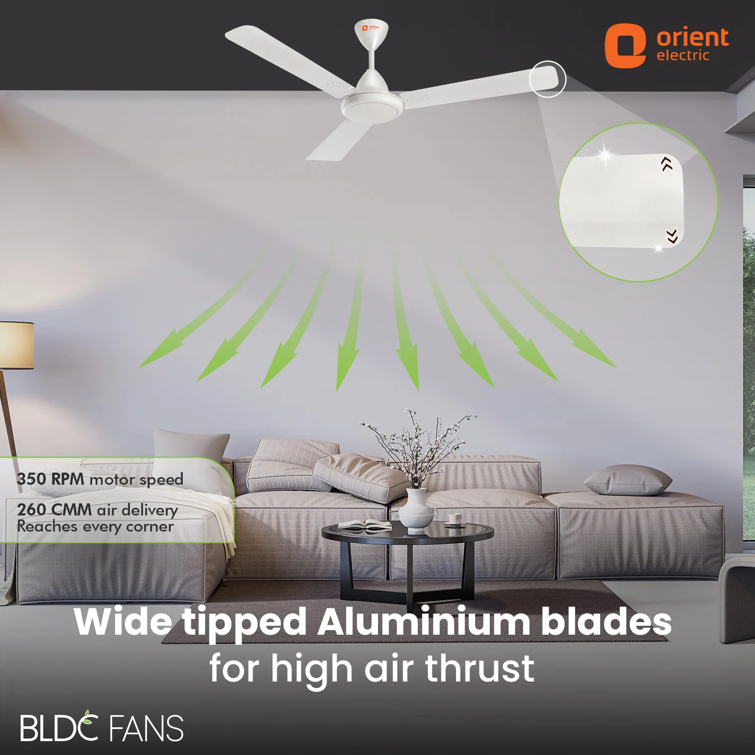 Hector 500 BLDC Ceiling Fan | 3 Year Warranty - Image 56