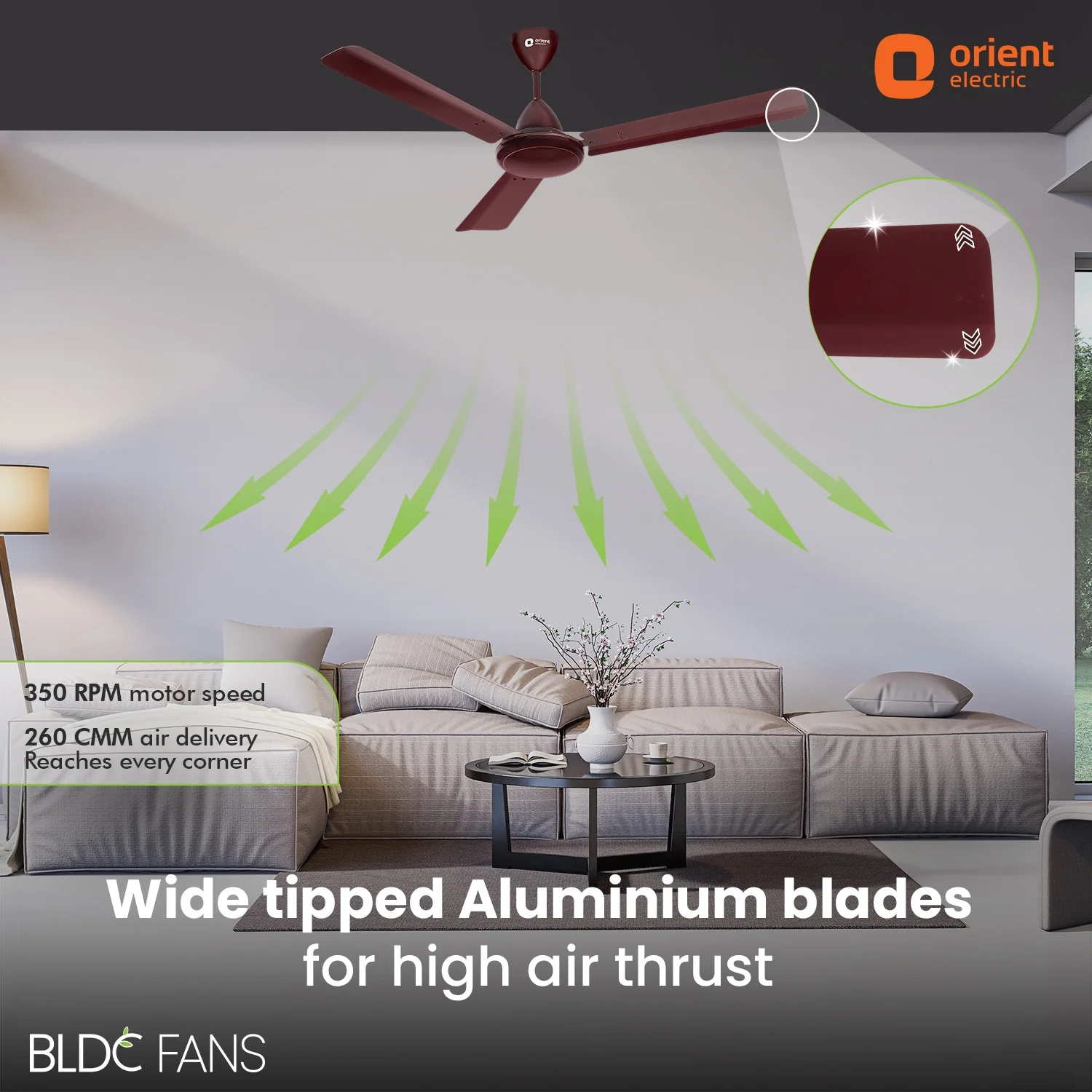 Hector 500 BLDC Ceiling Fan | 3 Year Warranty - Image 64