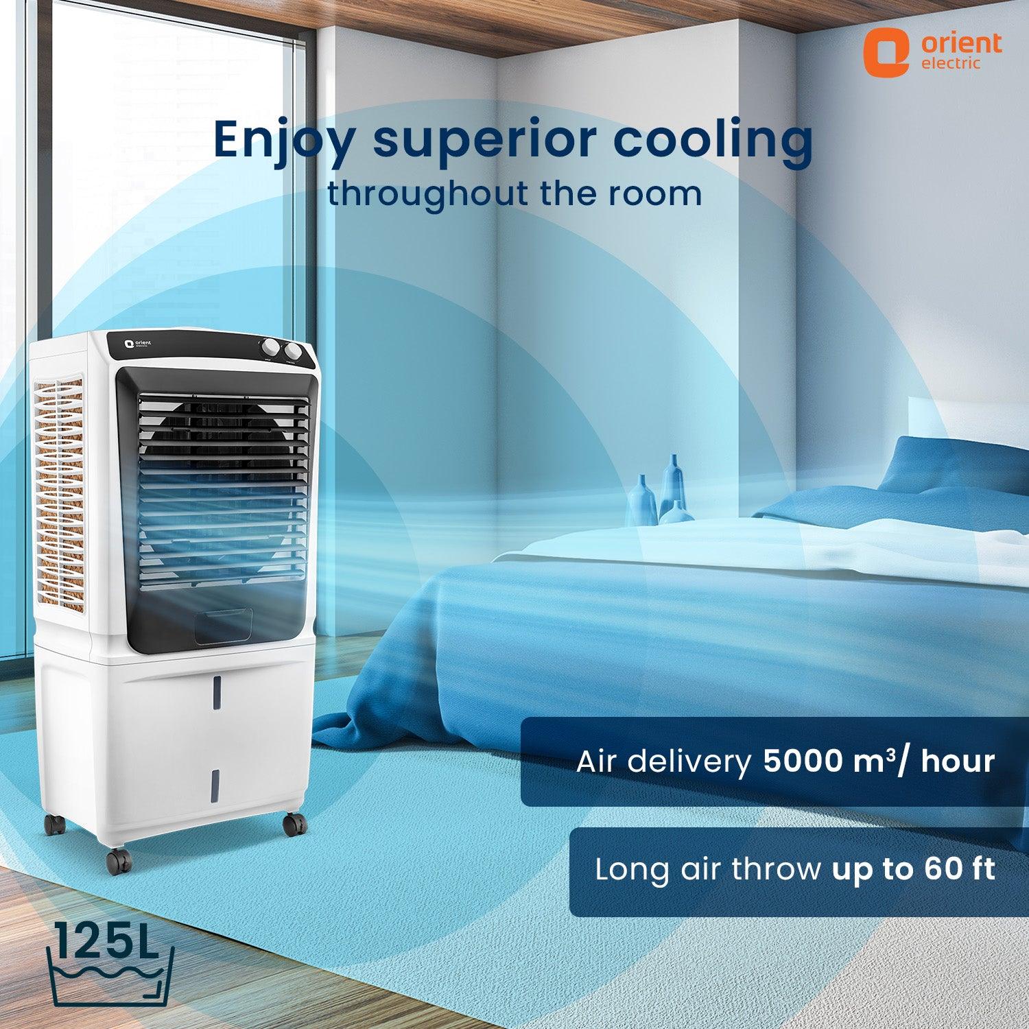 Smartchill Big Size Desert Cooler for Large Spaces - Image 3
