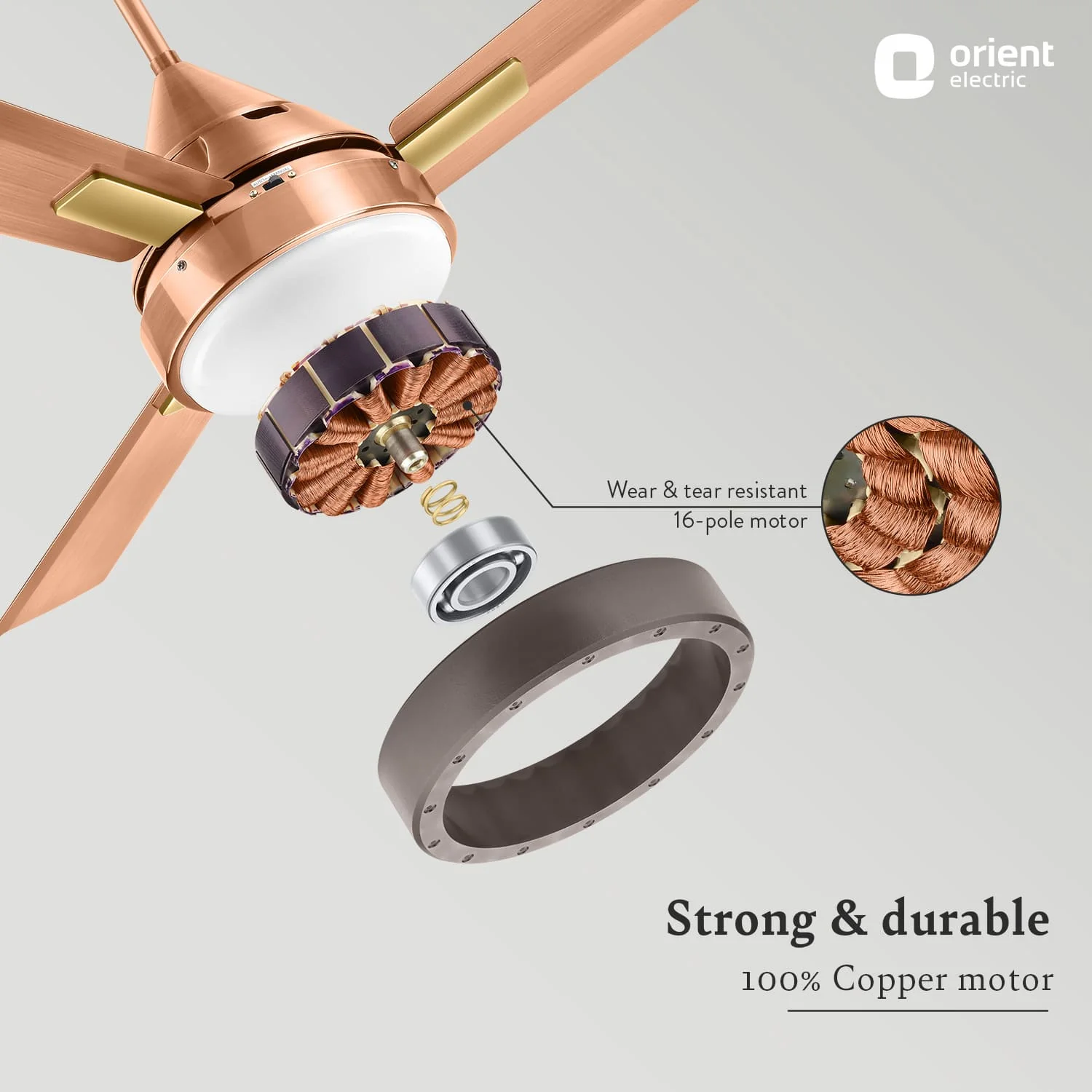 Spectra with Remote & Underlight Ceiling Fan - Image 10