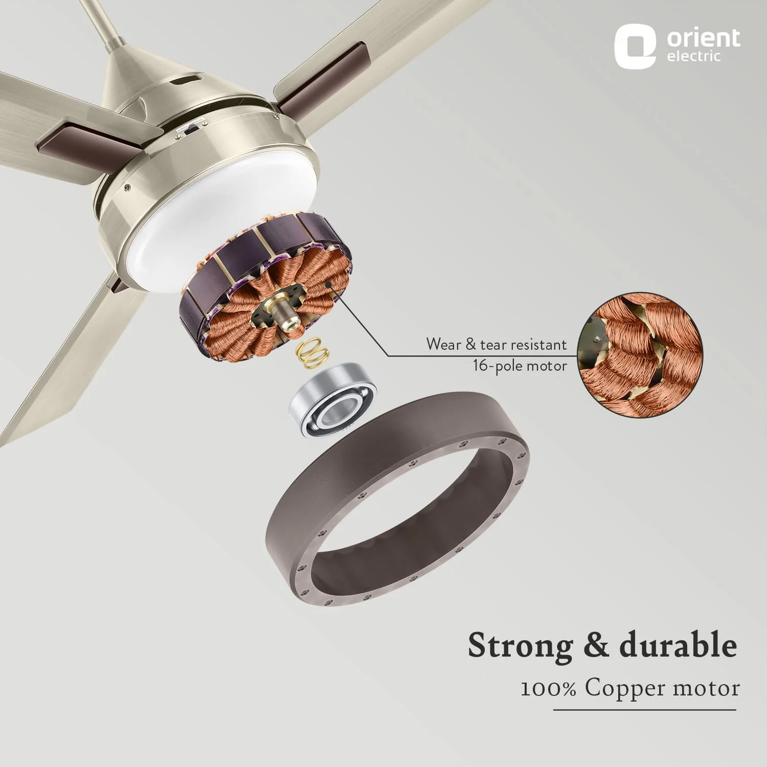Spectra with Remote & Underlight Ceiling Fan - Image 5