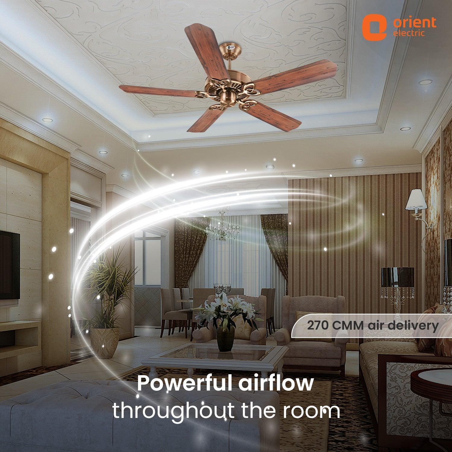 Subaris Royal Premium Ceiling Fan - Image 9